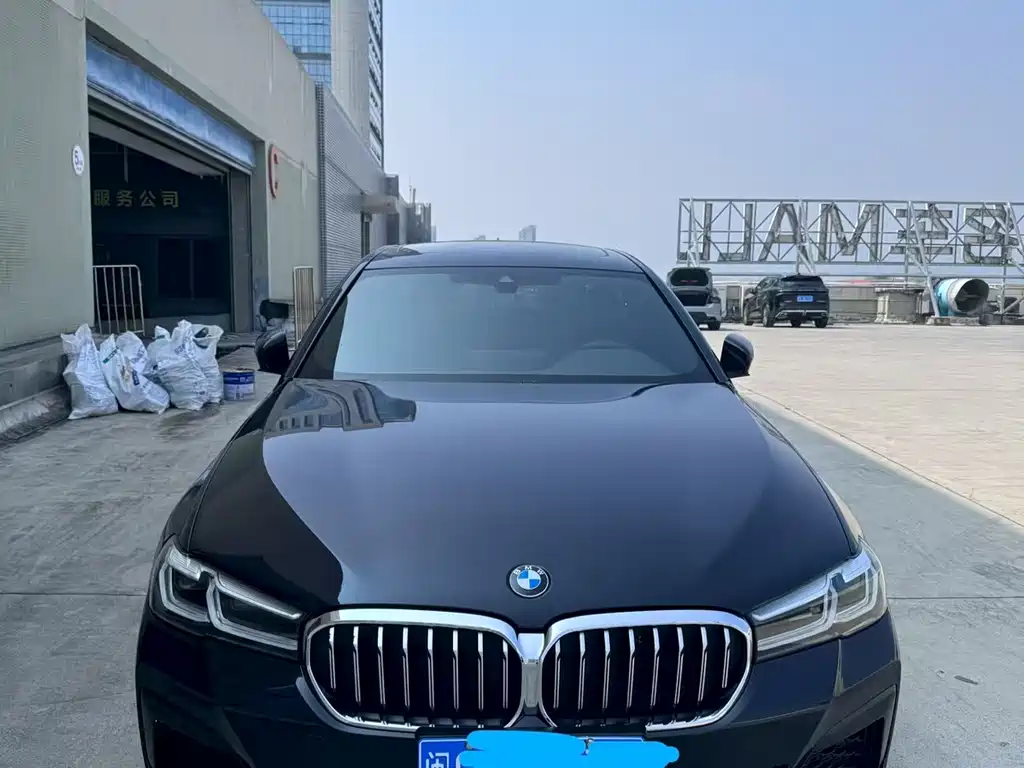 BMW 5 Series — миниатюра 2
