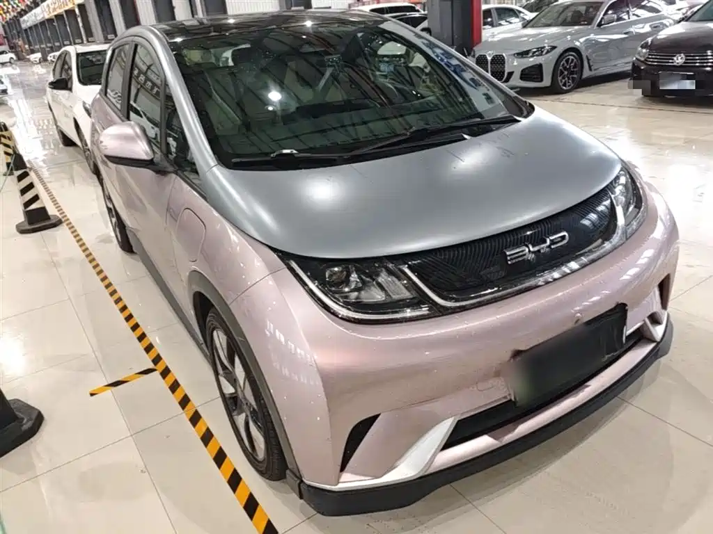 BYD Dolphin 2021 401km
