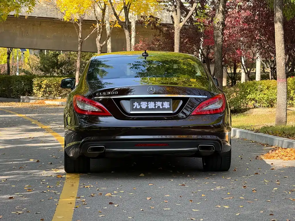 Mercedes-Benz CLS — миниатюра 11
