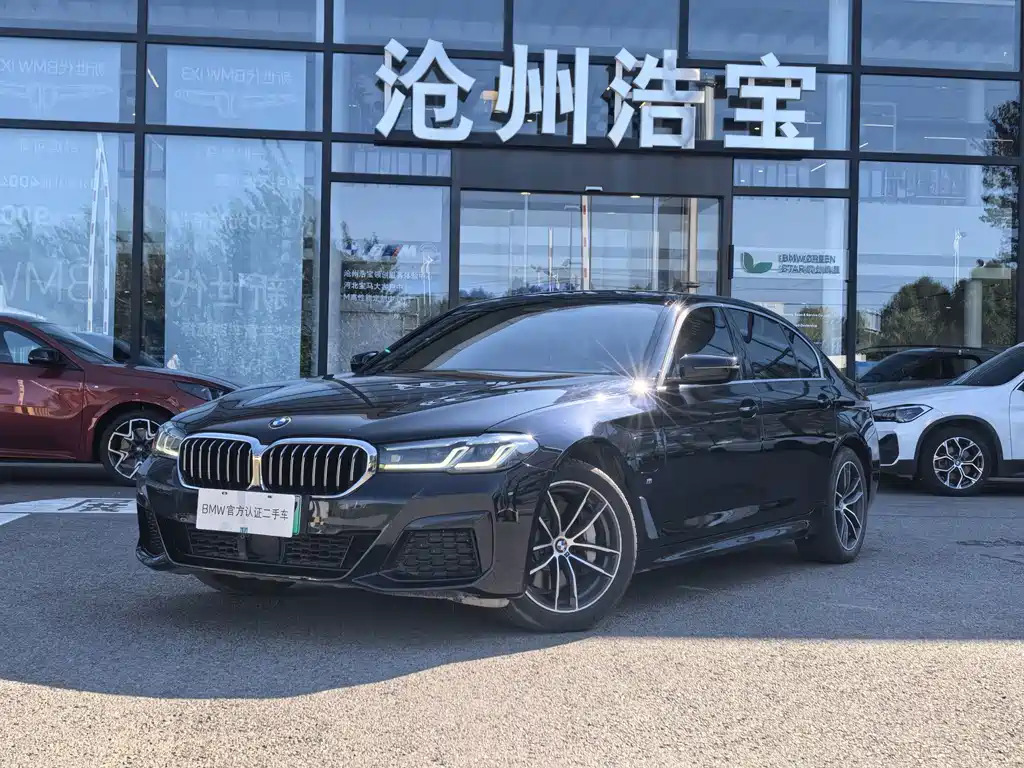 BMW 5 Series New Energy