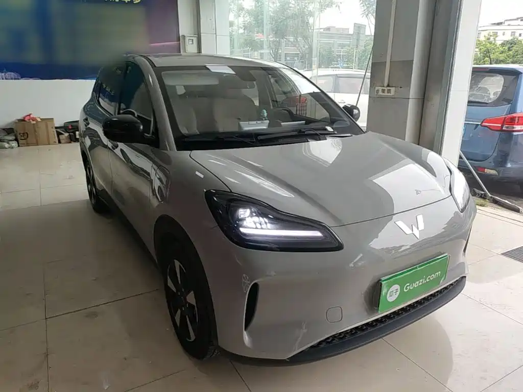 Wuling BinguoPLUS PLUS 2024 330km мест