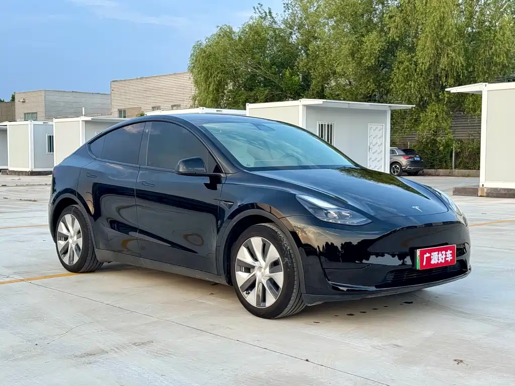 Tesla Model Y — миниатюра 4