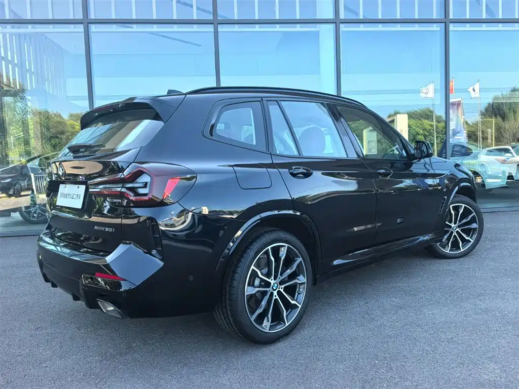 BMW X3 — миниатюра 5
