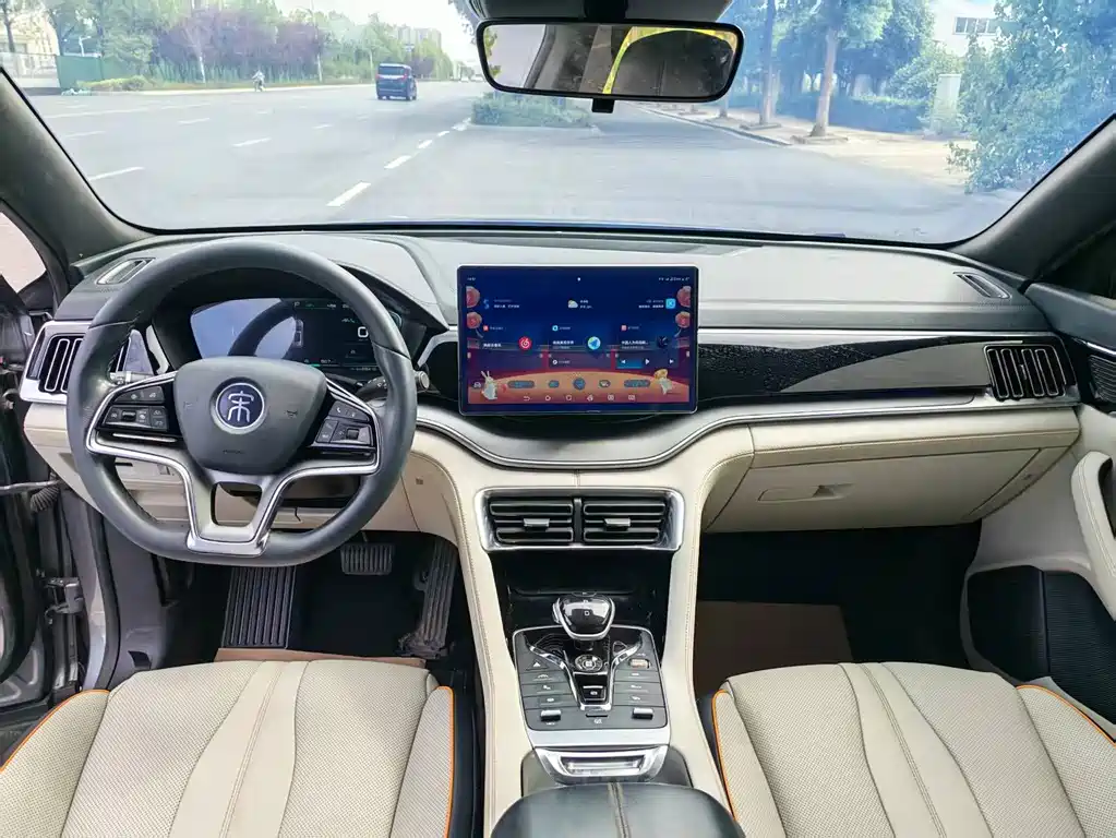 BYD PLUS New Energy — миниатюра 5
