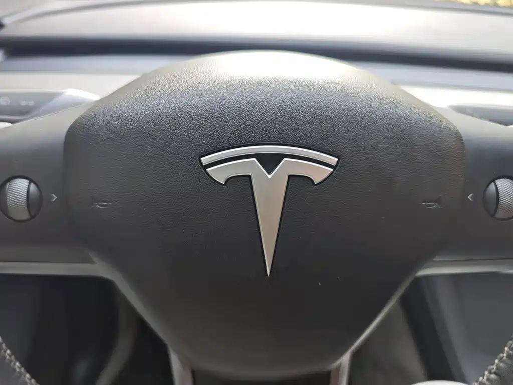Tesla Model Y — миниатюра 15