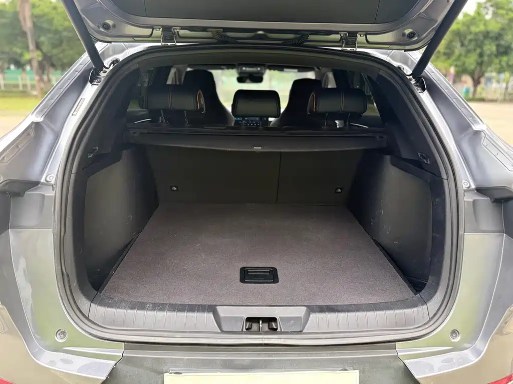 BYD PLUS New Energy — миниатюра 15