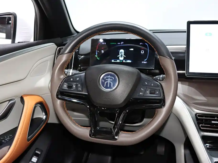 BYD Pro New Energy — миниатюра 13