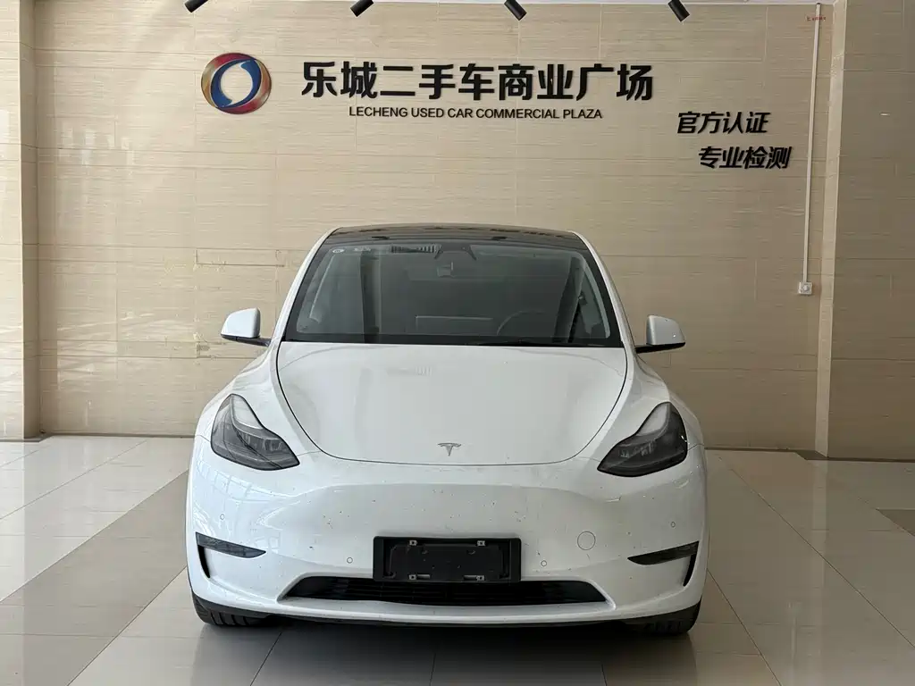Tesla Model Y — миниатюра 2