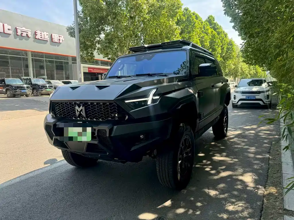 Mengshi Mengshi 917 2025