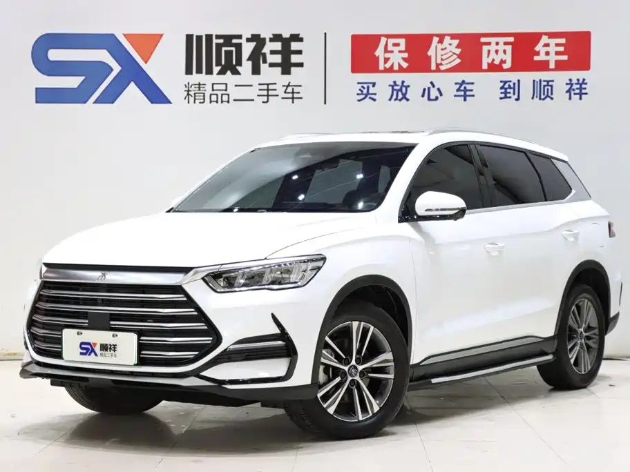 BYD Pro New Energy