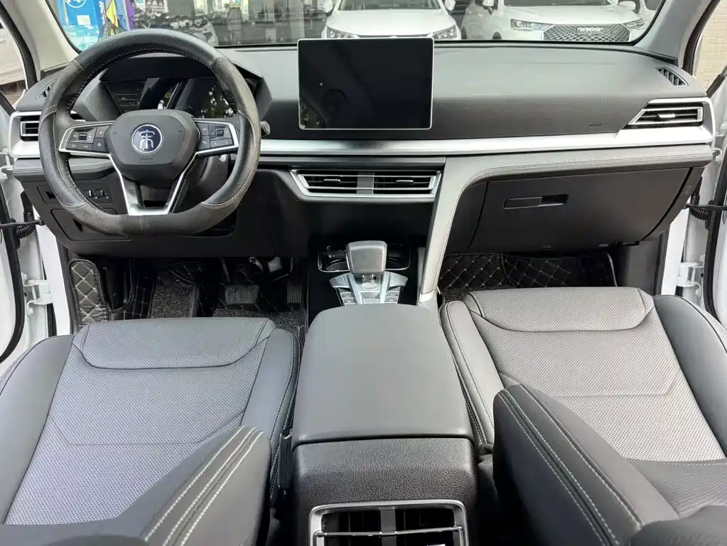 BYD Pro — миниатюра 9