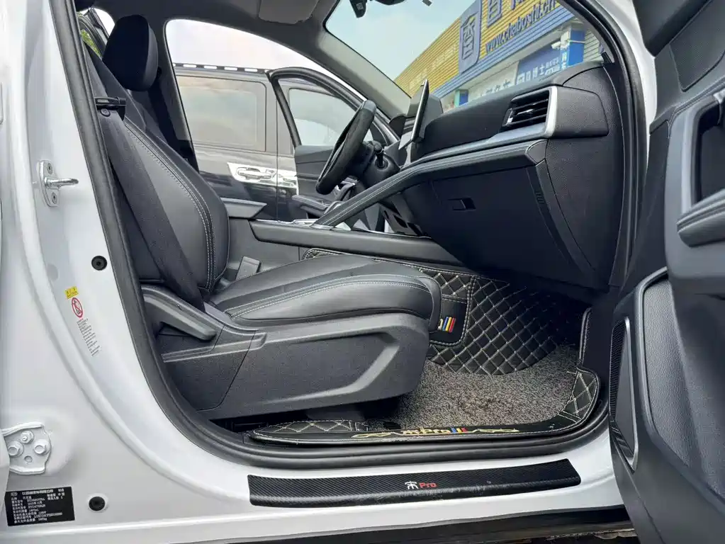 BYD Pro — миниатюра 12