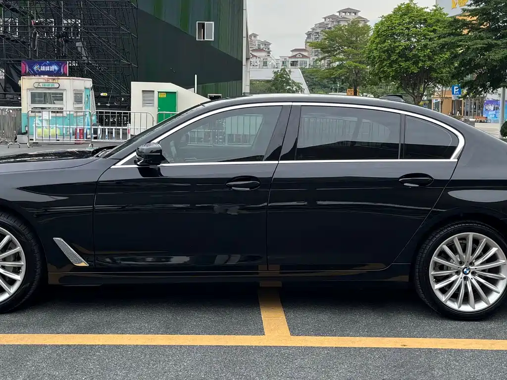BMW 5 Series 5 2021 530Li Premium Luxury