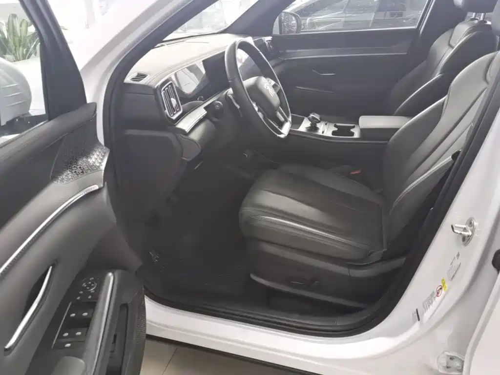 BYD Pro New Energy — миниатюра 16