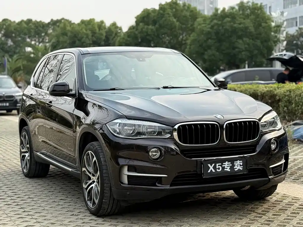 BMW X5 (Import) — миниатюра 3