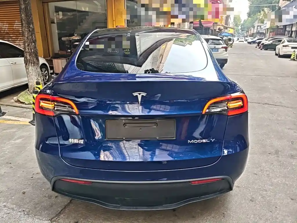 Tesla Model Y — миниатюра 6