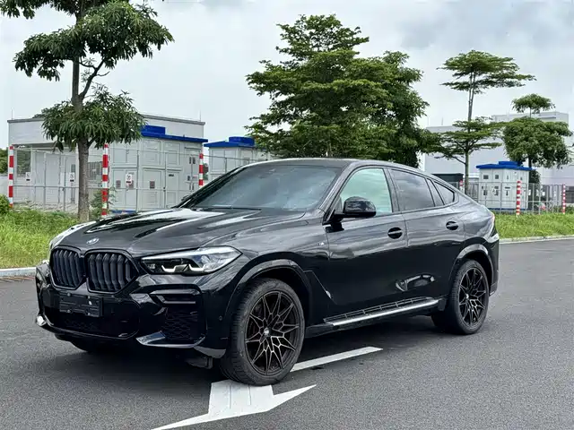 2023 BMW X6
