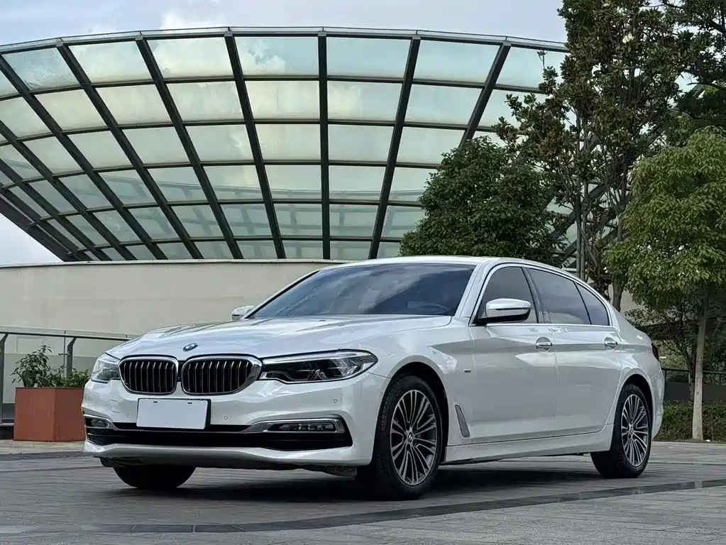 BMW 5 Series 5 2018 530Li Premium Luxury