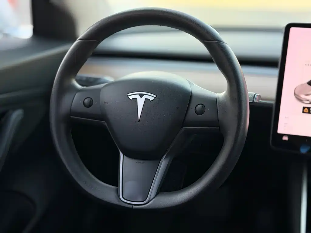 Tesla Model 3 — миниатюра 12