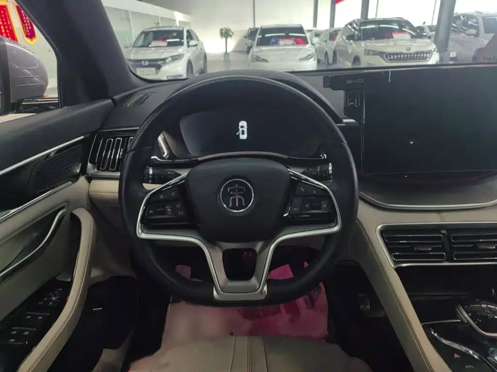 BYD PLUS New Energy — миниатюра 3
