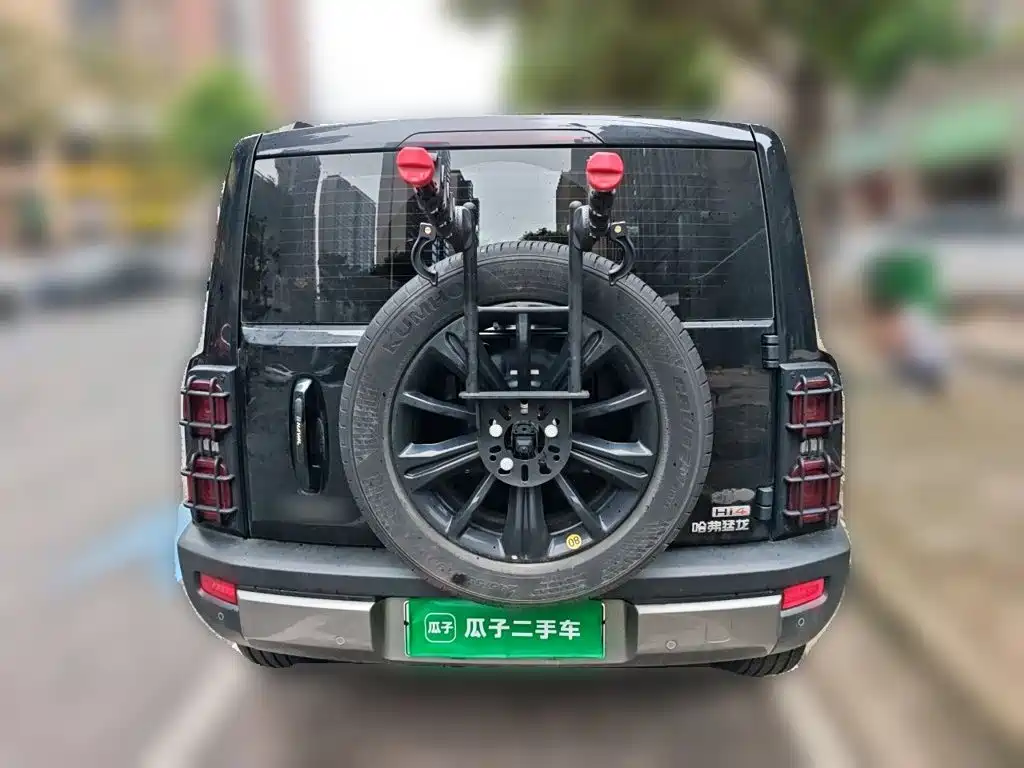 Haval Menglong New Energy — миниатюра 3