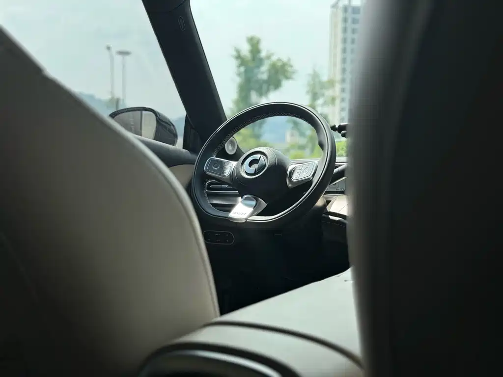 smart Smart #1 — миниатюра 9