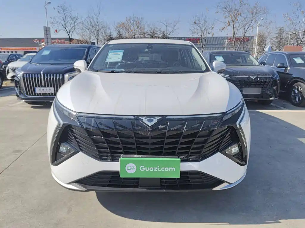 Cowin Kunlun — миниатюра 3