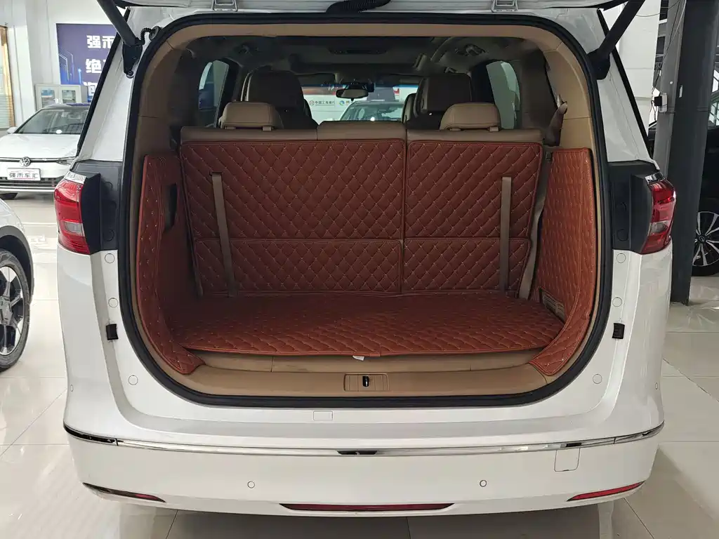 Buick GL8 — миниатюра 17