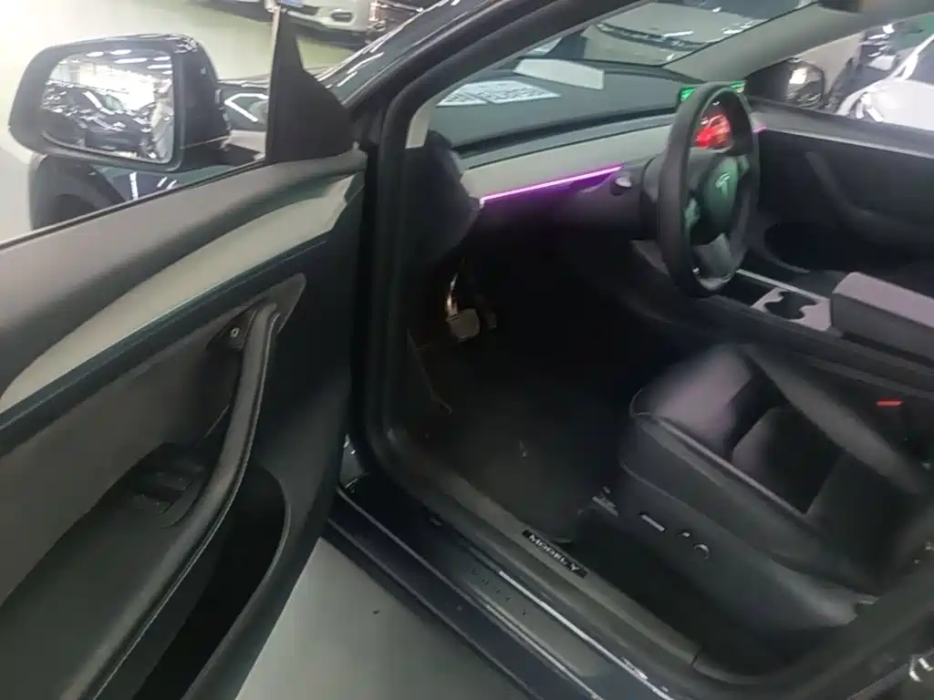 Tesla Model Y — миниатюра 16
