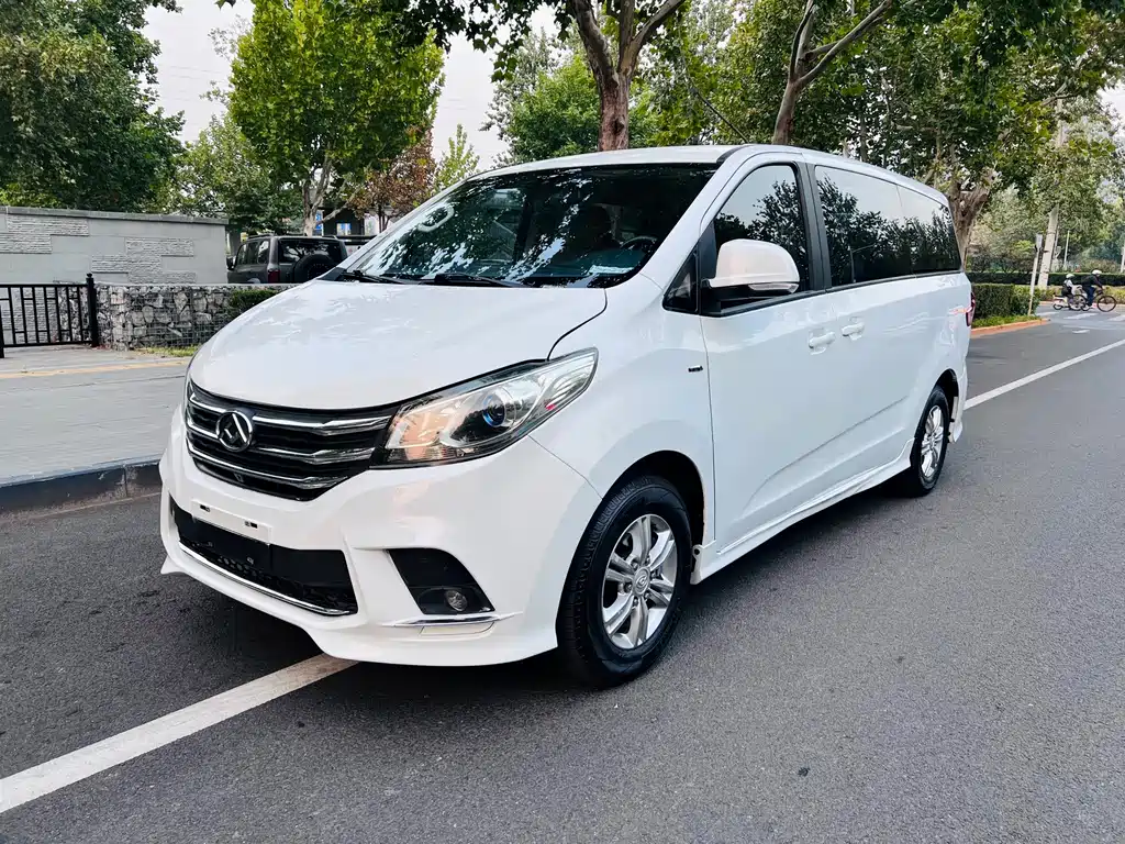 MAXUS G10
