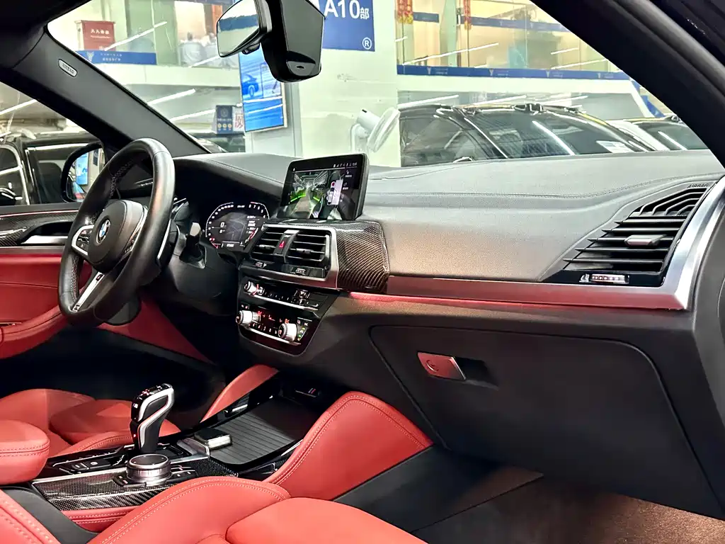 BMW X4 M X4 M Thunder Edition, фото 14