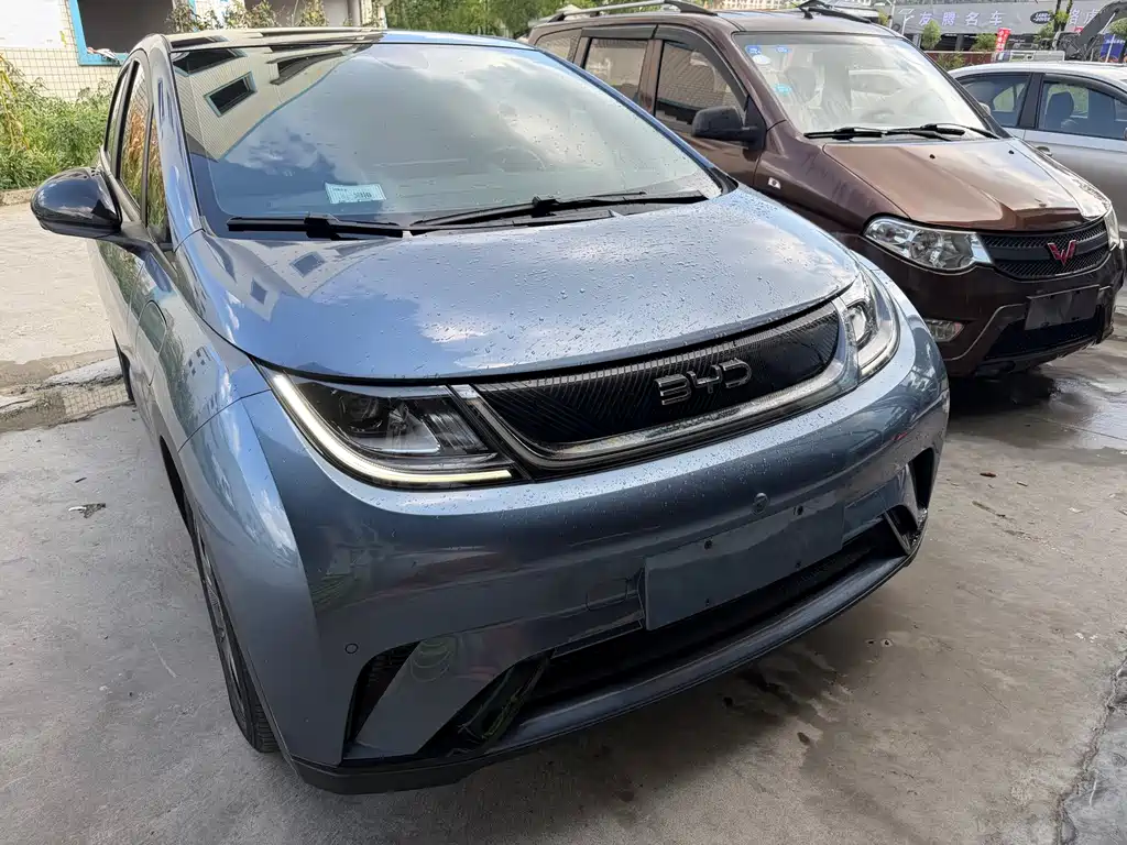 BYD Dolphin — миниатюра 3