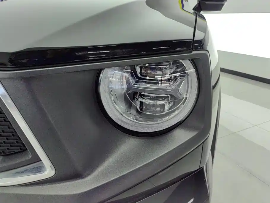 Haval Big Dog PLUS — миниатюра 5