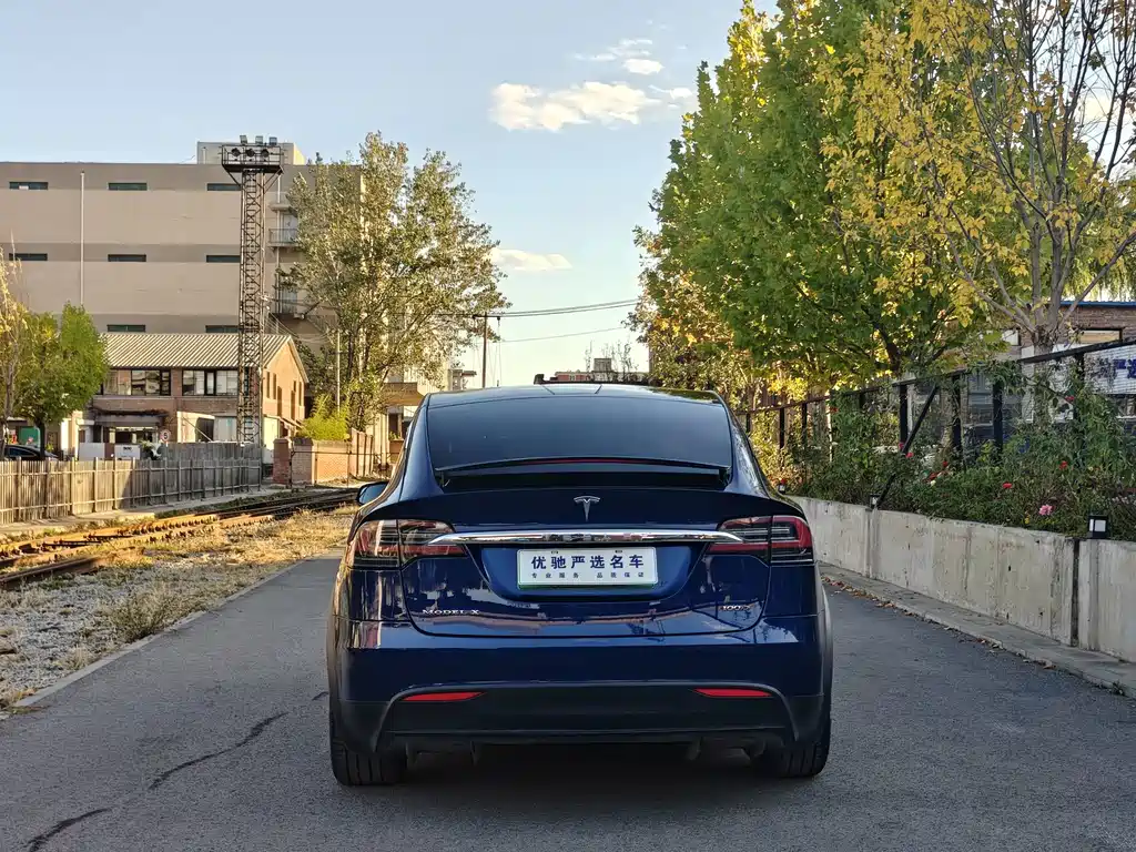 Tesla Model X — миниатюра 8