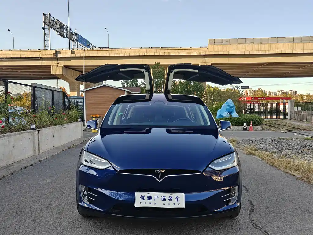 Tesla Model X — миниатюра 13