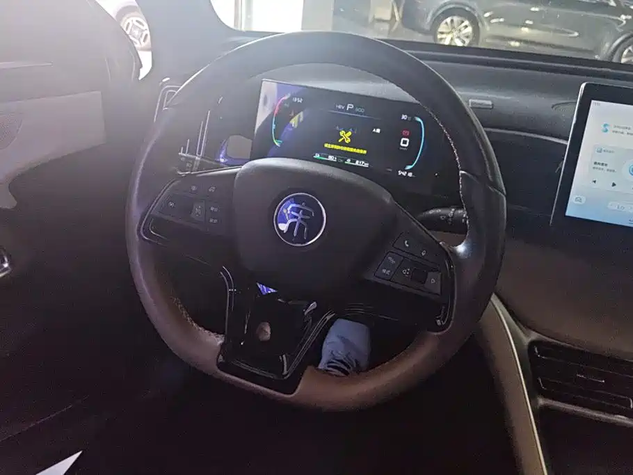 BYD Pro New Energy — миниатюра 15