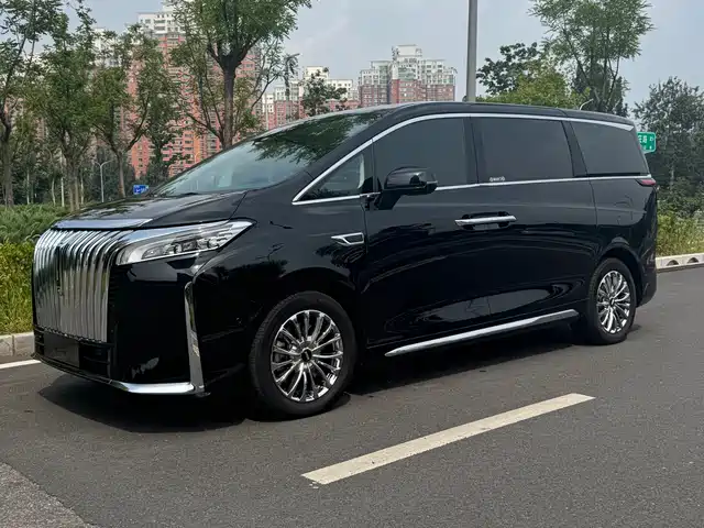 2024 Wey Gaoshan