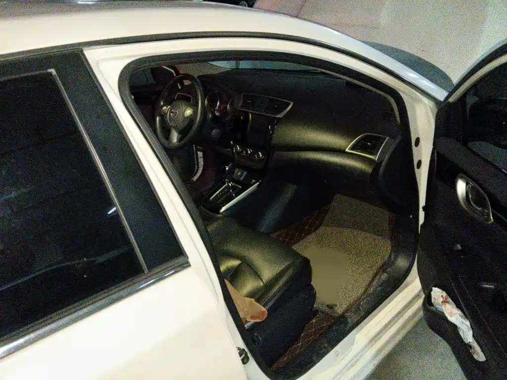 Nissan Sylphy — миниатюра 18