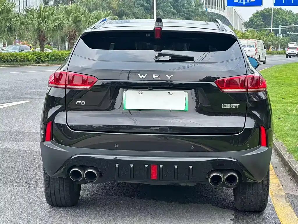 Wey Wey P8 — миниатюра 4
