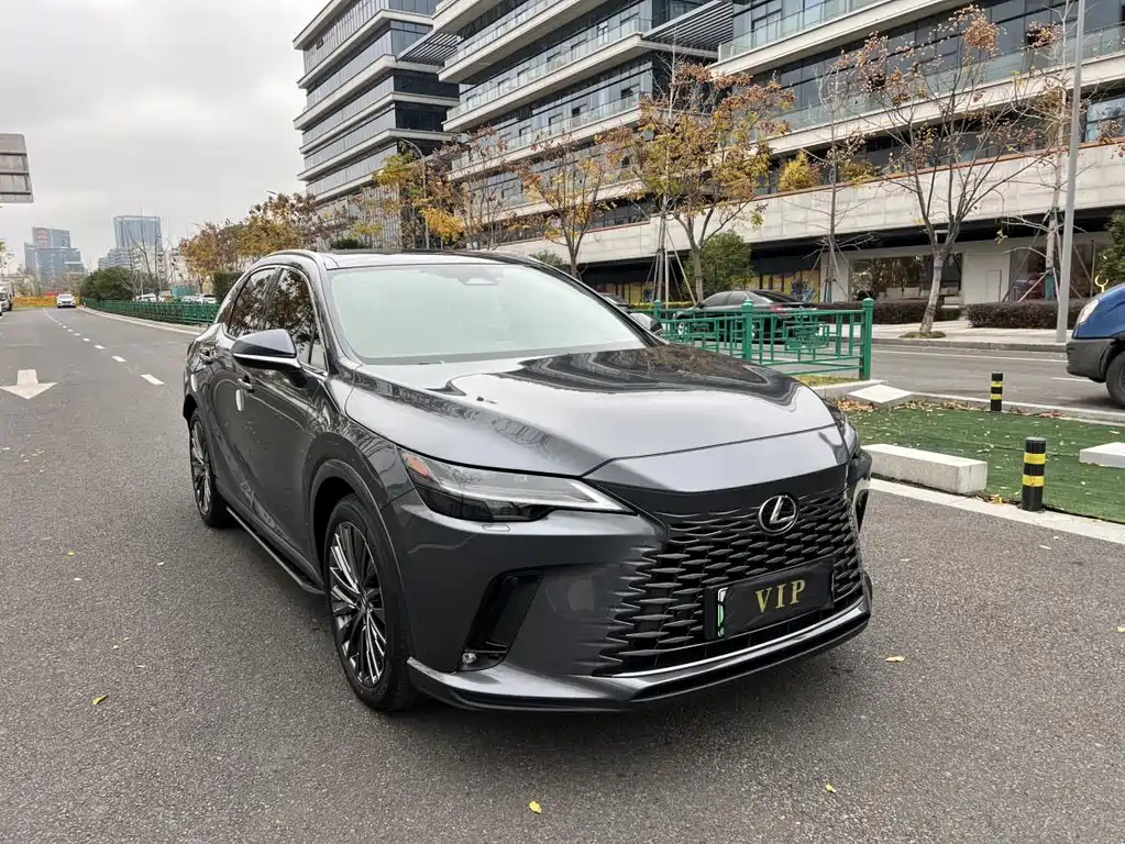 LEXUS RX NEW ENERGY