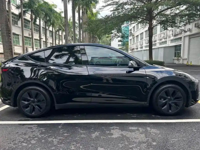 Tesla Model Y — миниатюра 9
