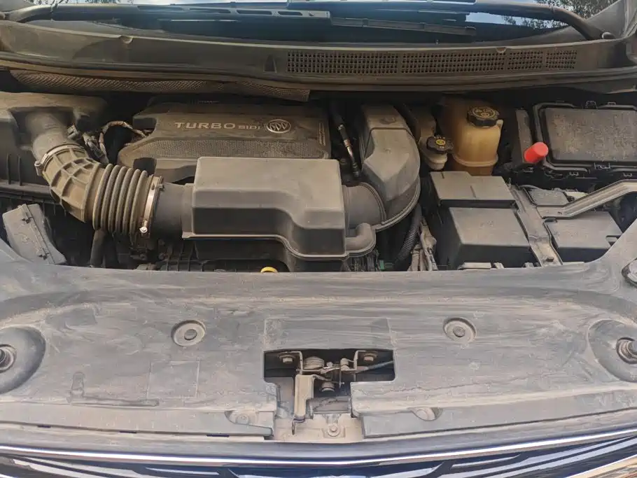 Buick GL8 — миниатюра 10