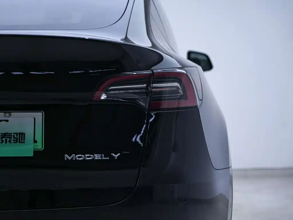 Tesla Model Y — миниатюра 18