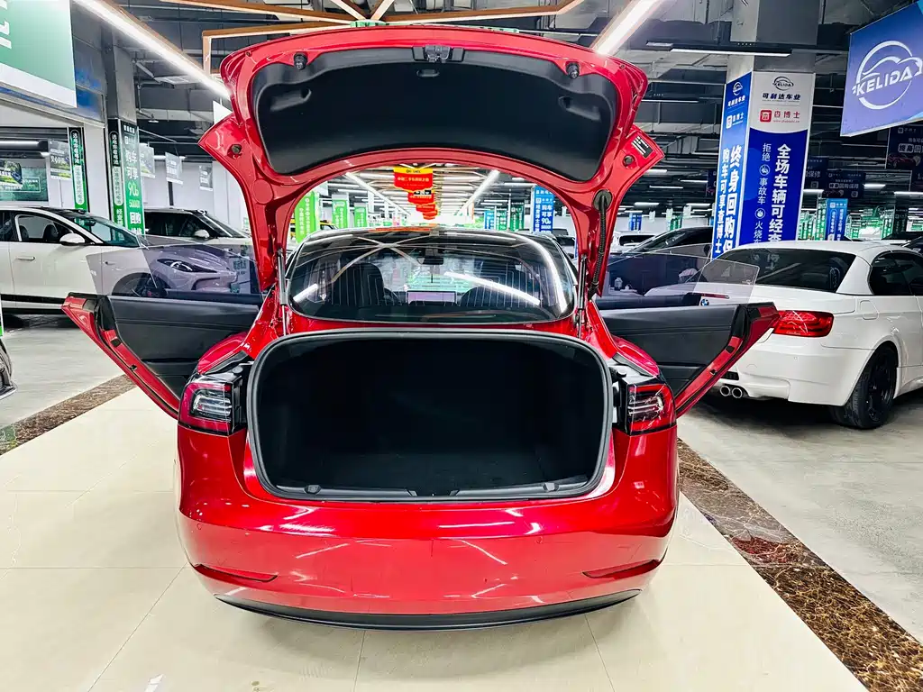 Tesla Model 3 — миниатюра 16