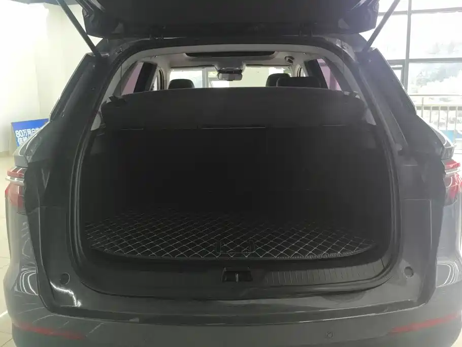 BYD Pro — миниатюра 4