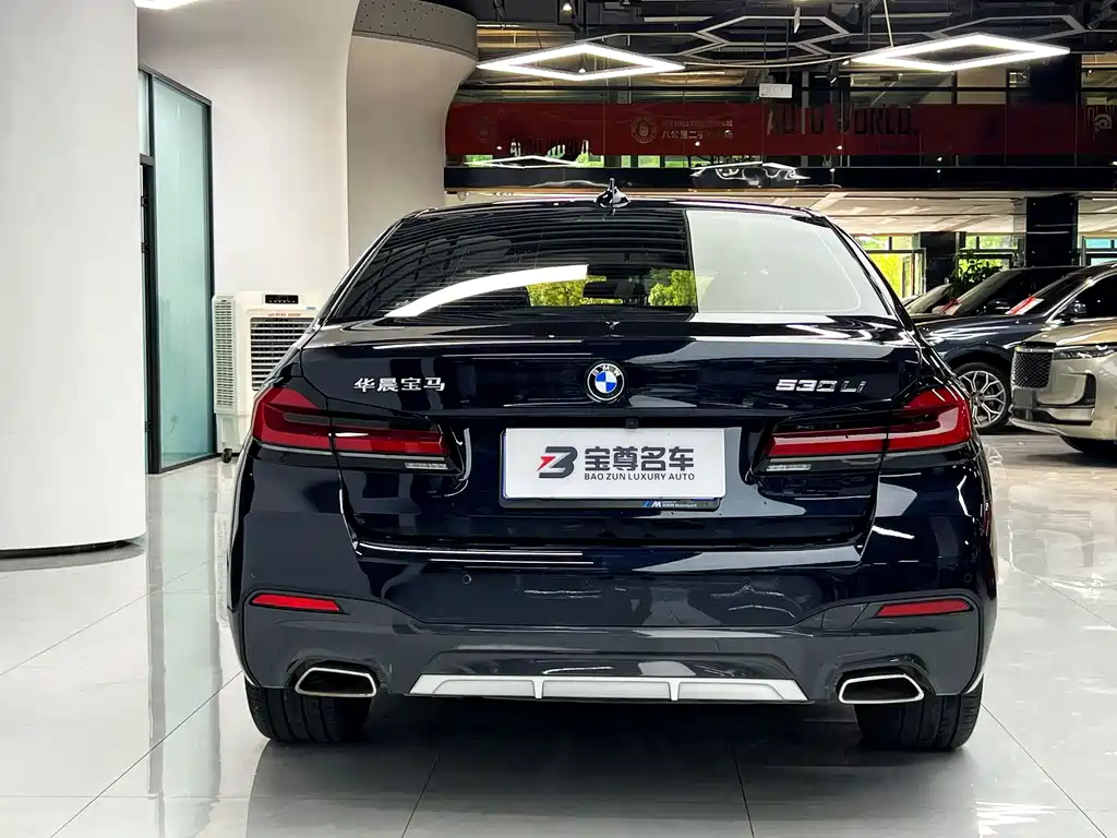 BMW 5 Series — миниатюра 8