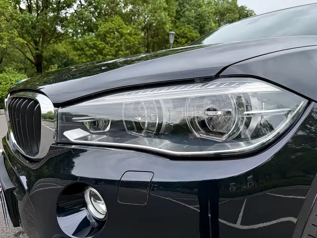BMW X6 — миниатюра 8