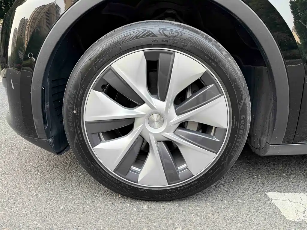 Tesla Model Y — миниатюра 4