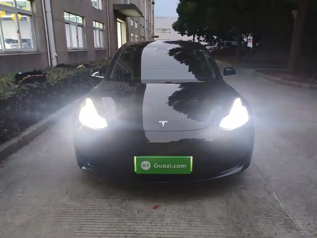 Tesla Model 3 — миниатюра 3