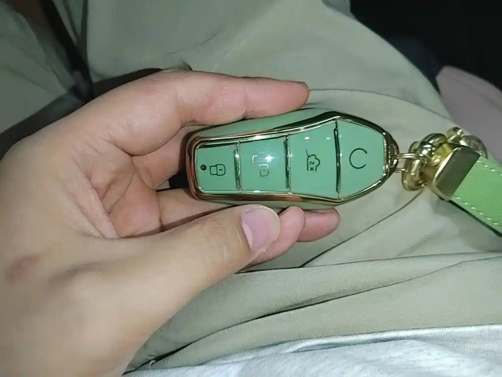 BYD Seagull 2024 305km